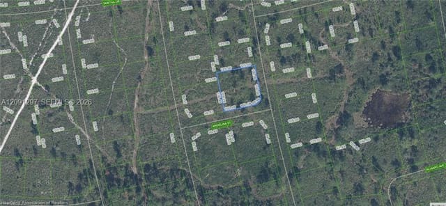 4703 San Pedro Drive, Sebring, FL 33872