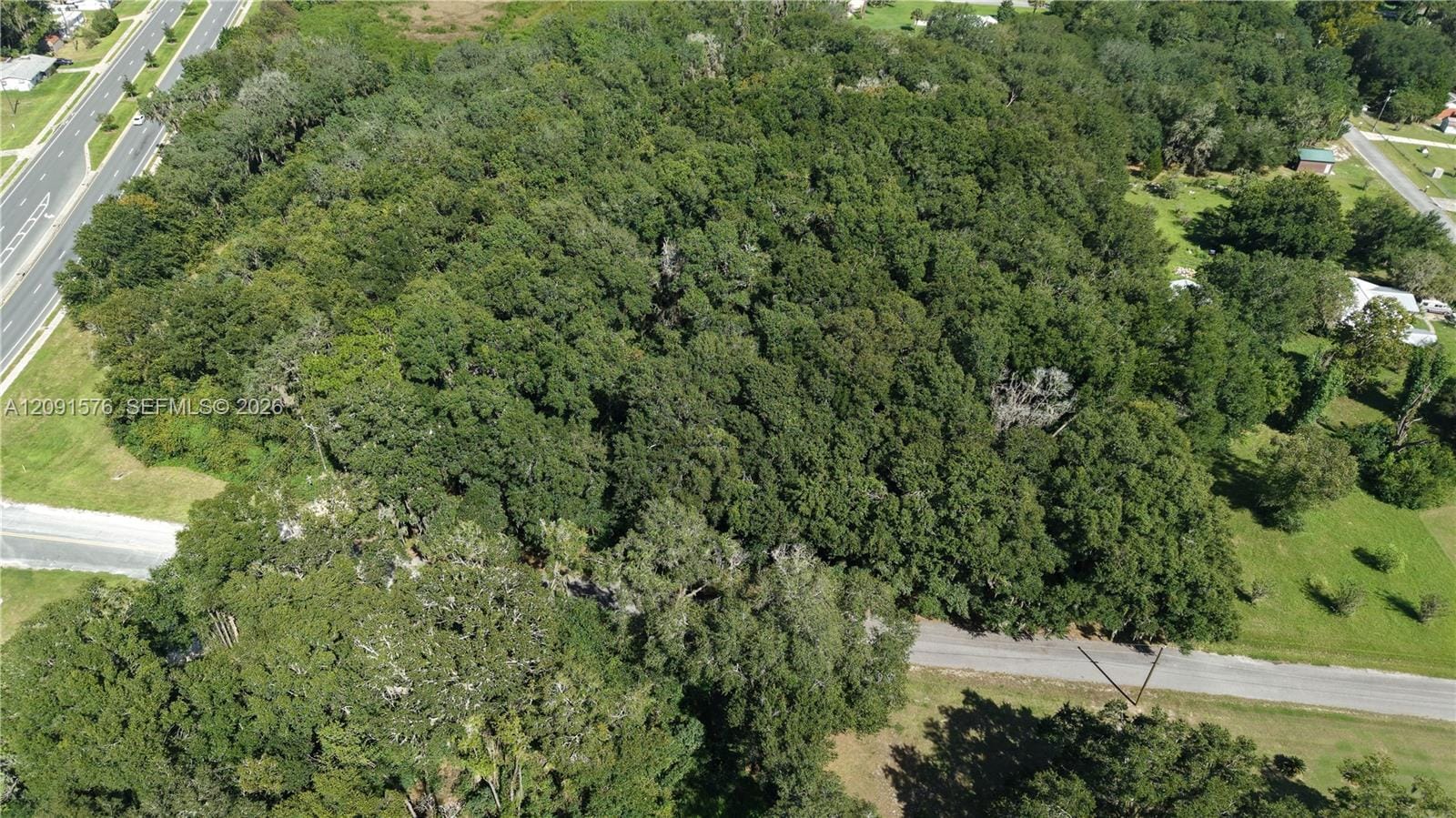 104 Twin Lake Grove Drive, FL 32148 photo 12