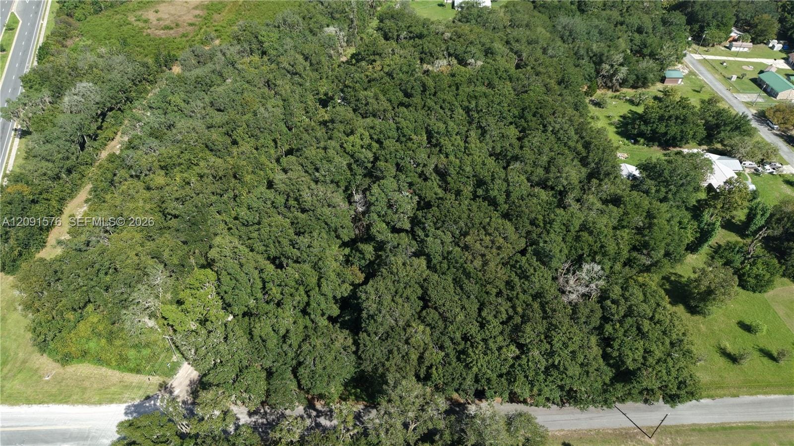 104 Twin Lake Grove Drive, FL 32148 photo 4