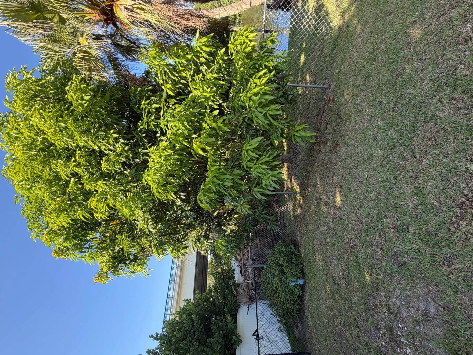 1219 SE CORAL REEF Street, Port St. Lucie, FL 34983 photo 11
