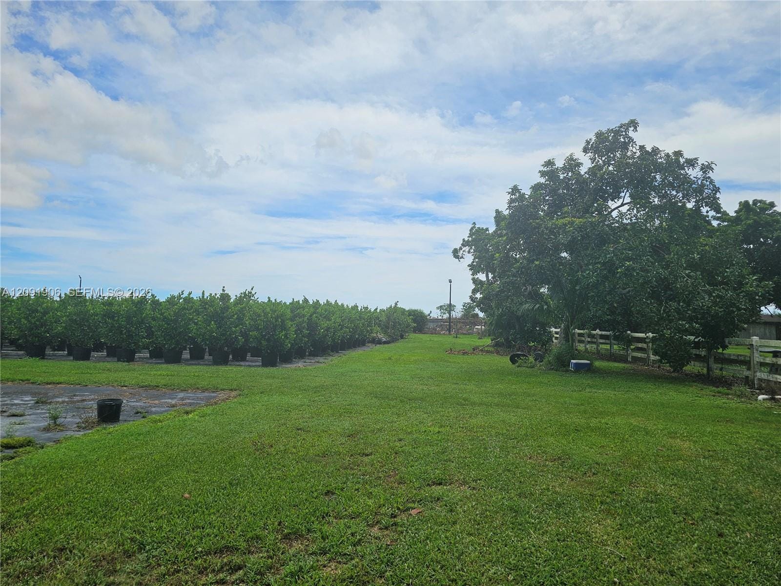 172 SW Ave 228 Street, Homestead, FL 33170 photo 3