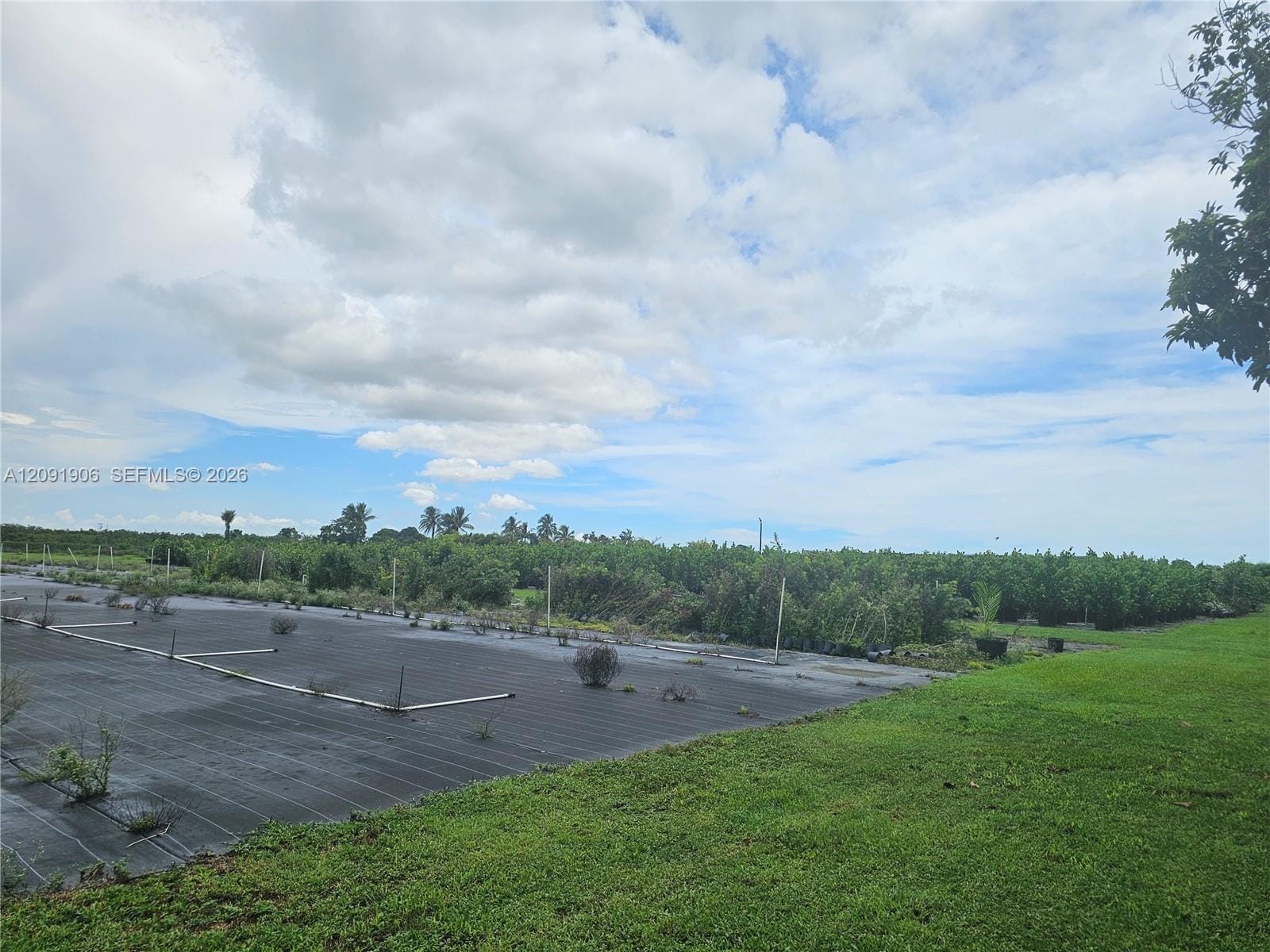 172 SW Ave 228 Street, Homestead, FL 33170 photo 10