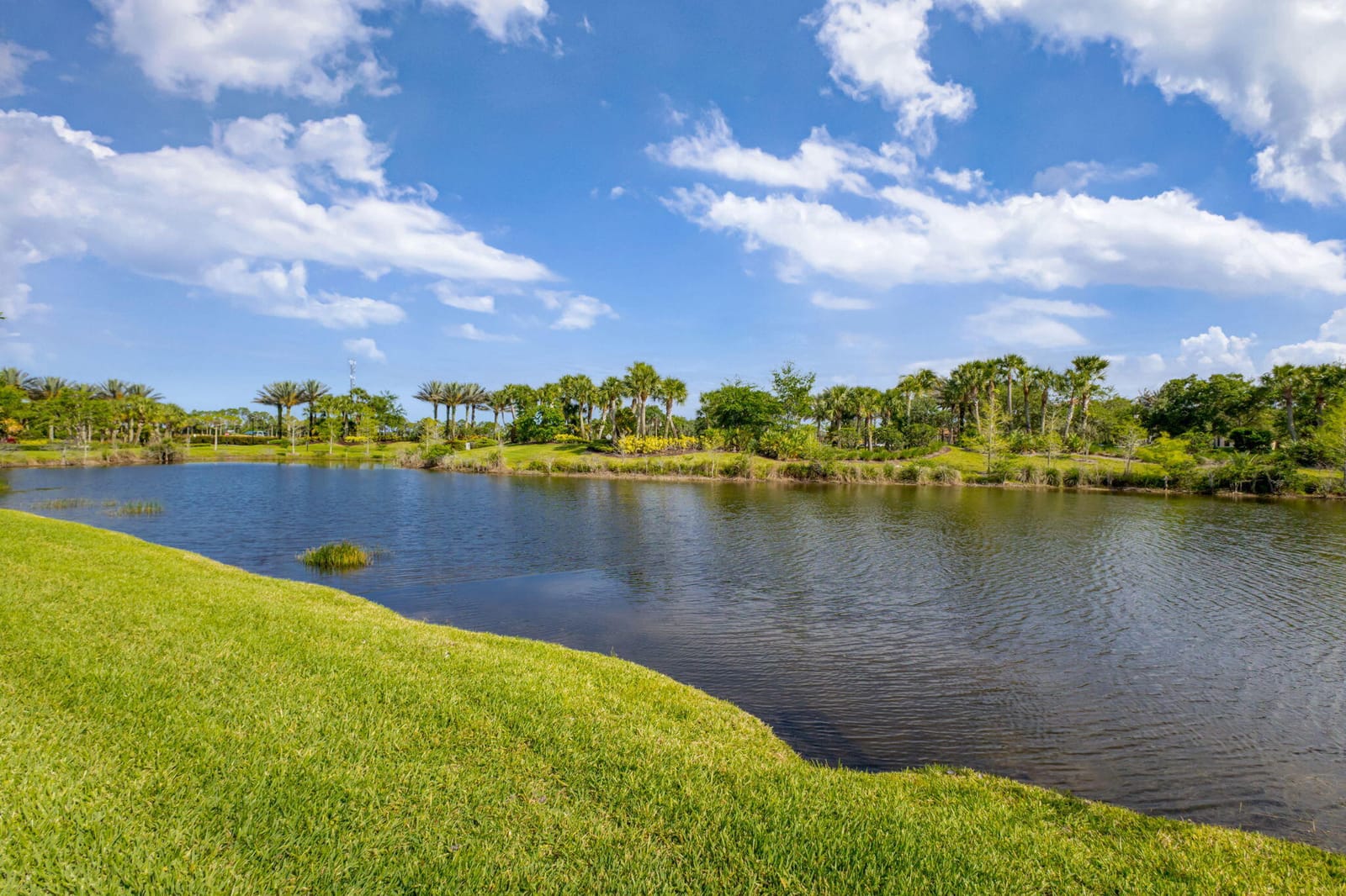 532 Sonoma Isles Circle, Jupiter, FL 33478 photo 6