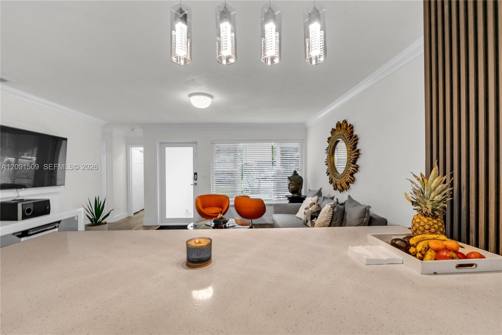 6551 Scott Street, Hollywood, FL 33024 photo 9