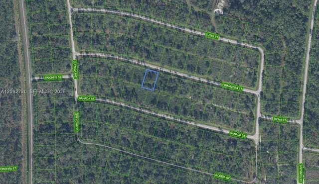 8649 Primavera Street, Sebring, FL 33872