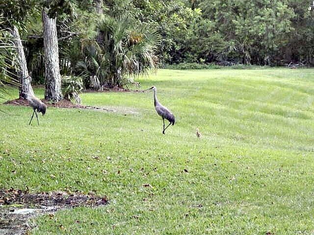 1604 SE Green Acres Circle T103, Port St. Lucie, FL 34952 photo 4