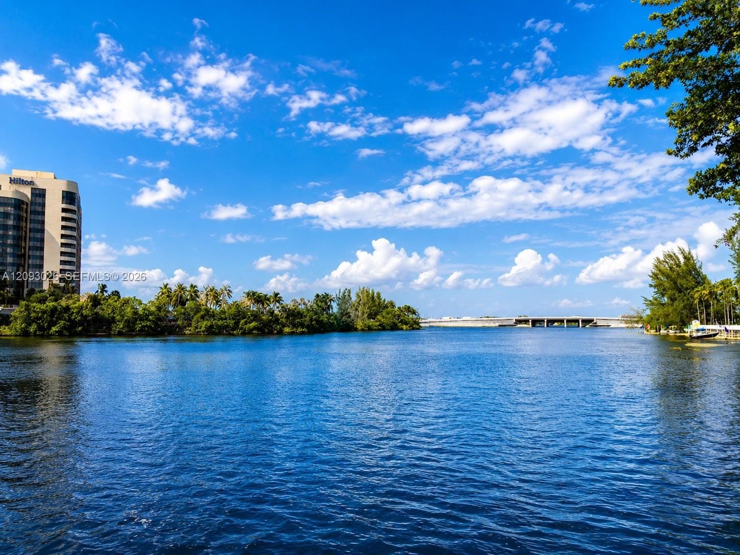 5099 NW 7th Street TS-03, Miami, FL 33126 photo 8