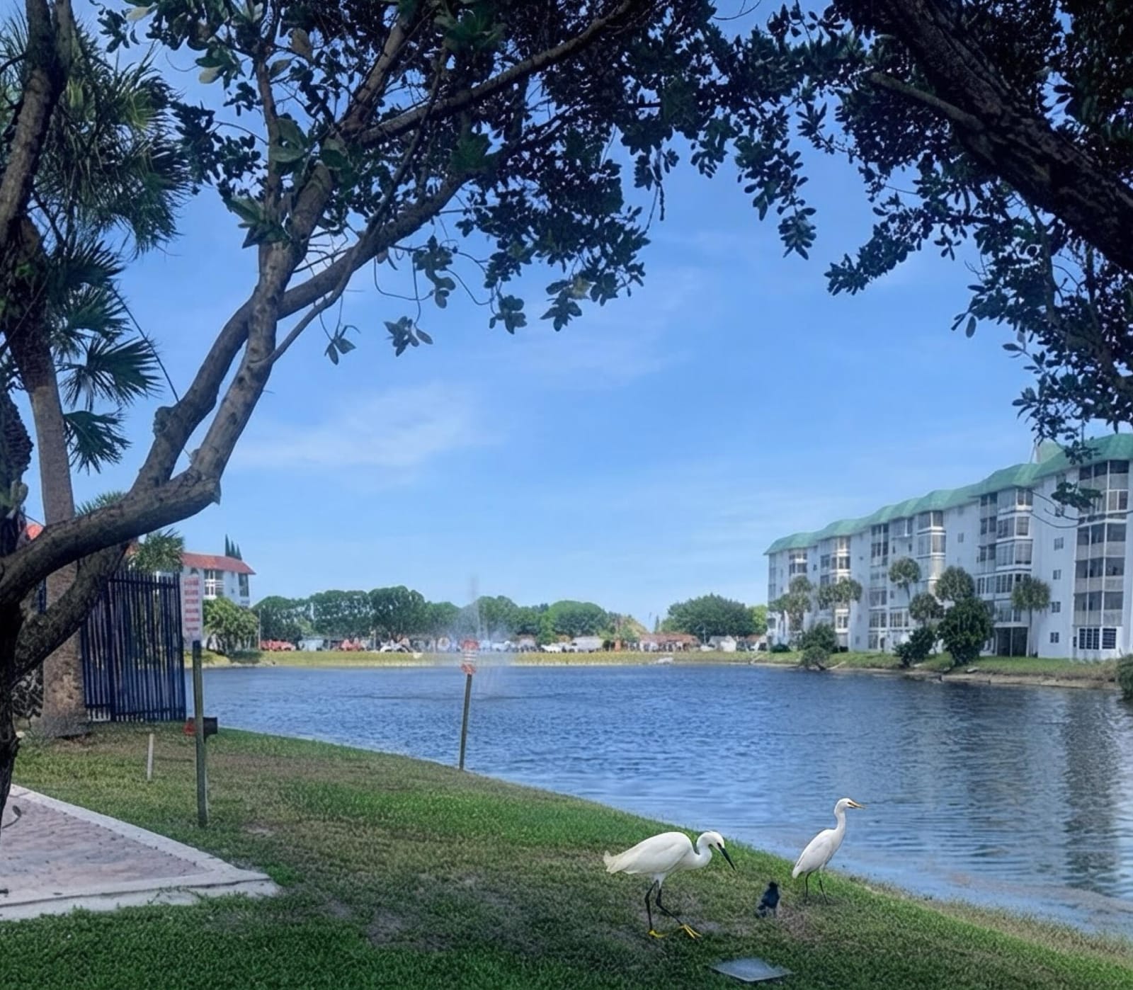4821 NW 22ND Court 204, Lauderhill, FL 33313 photo 17