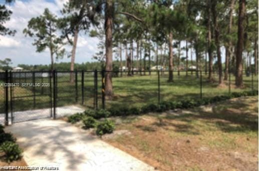 131 Blue Moon Avenue, Lake Placid, FL 33852 photo 30
