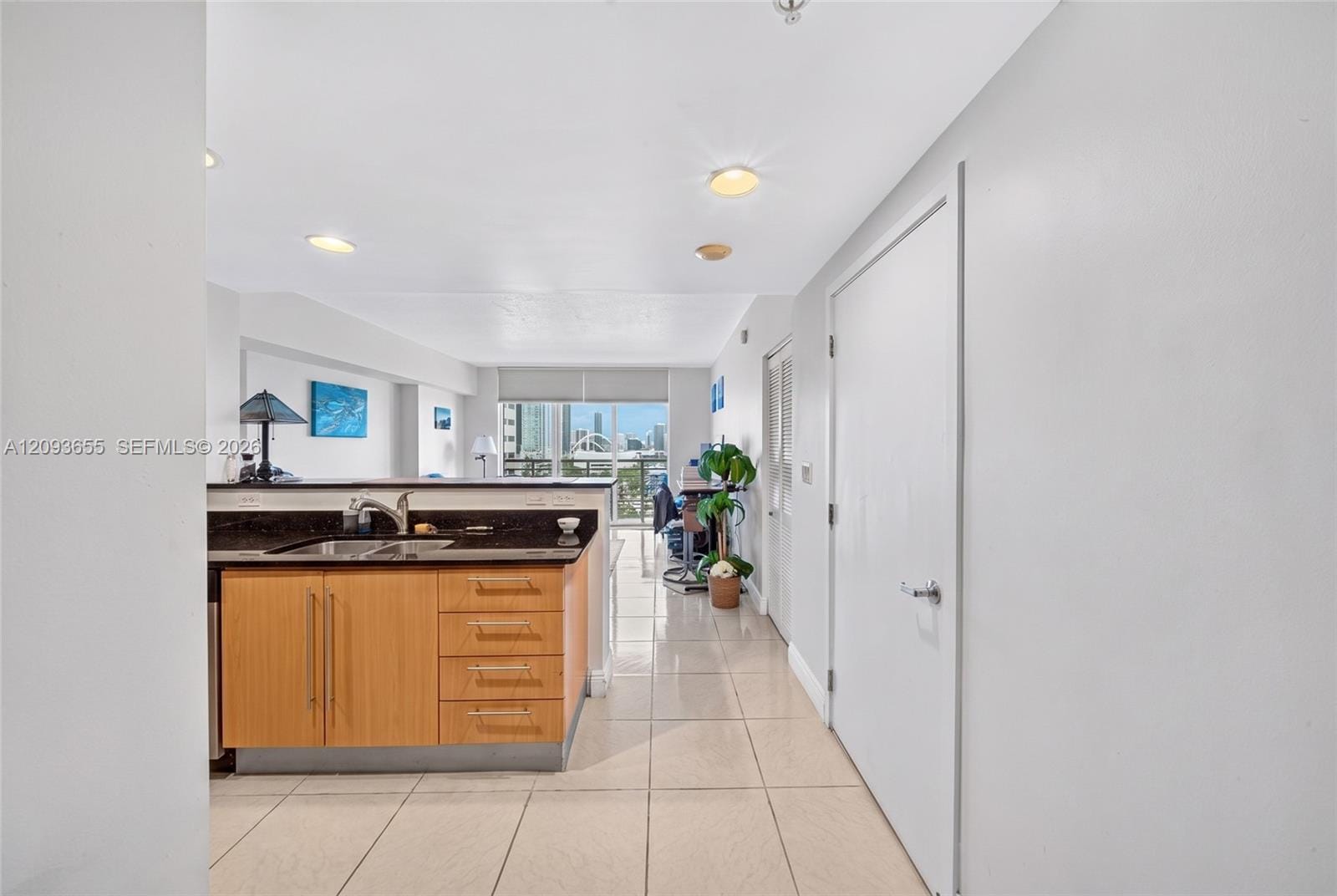 325 S Biscayne Boulevard 2320 — photo 9