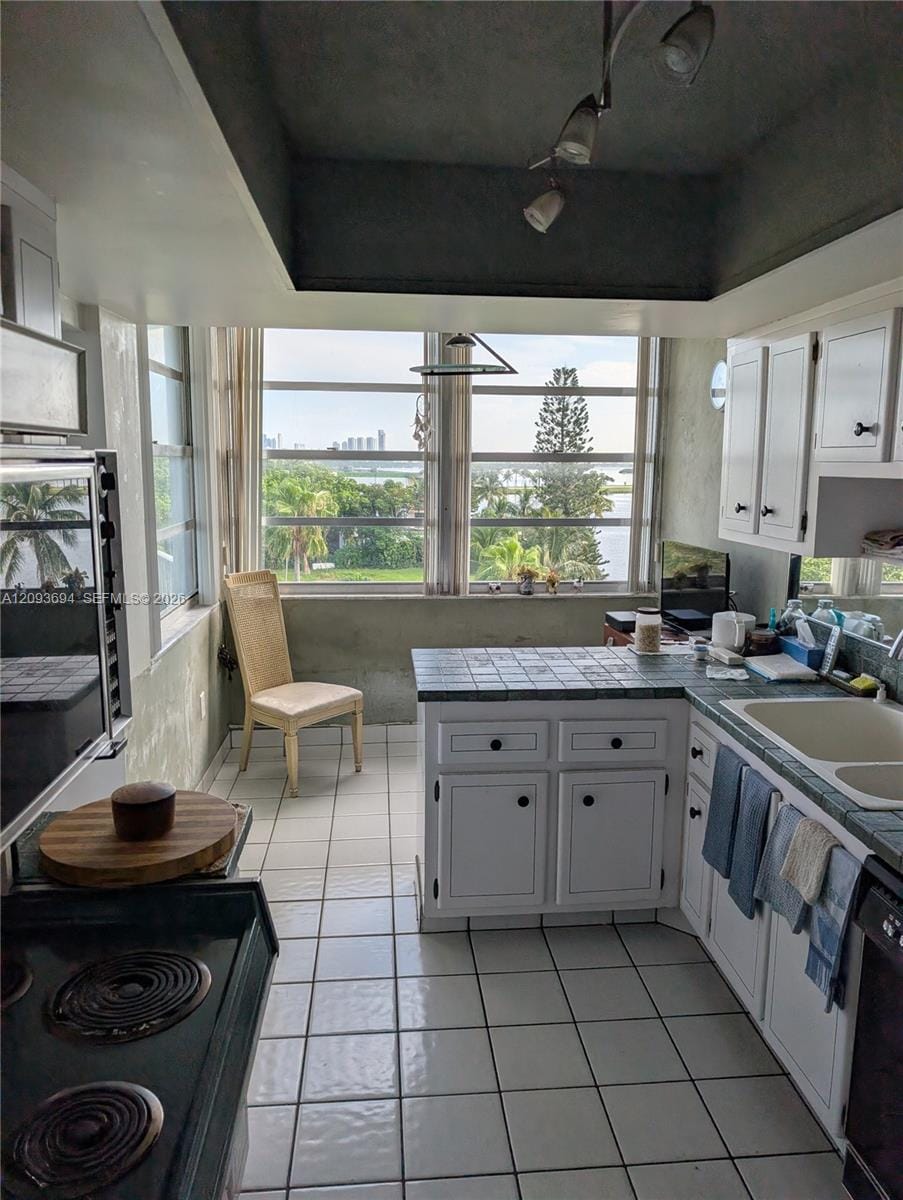 11930 N Bayshore Drive 502, North Miami, FL 33181 photo 21