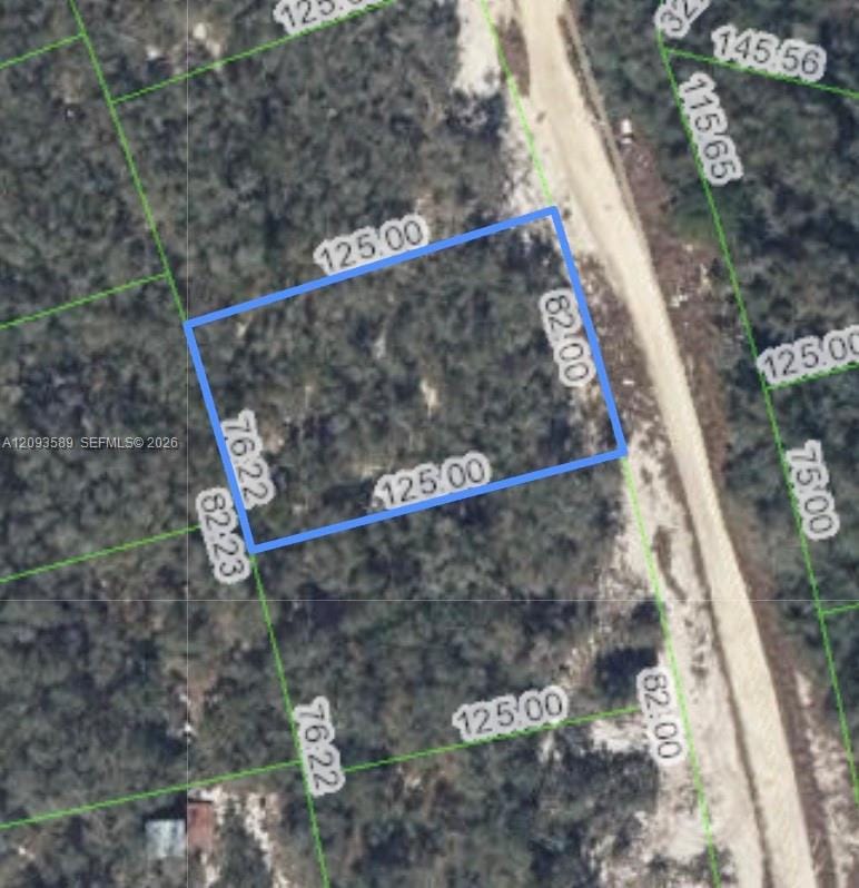 210 Sunway Drive, Lake Placid, FL 33852 photo 3
