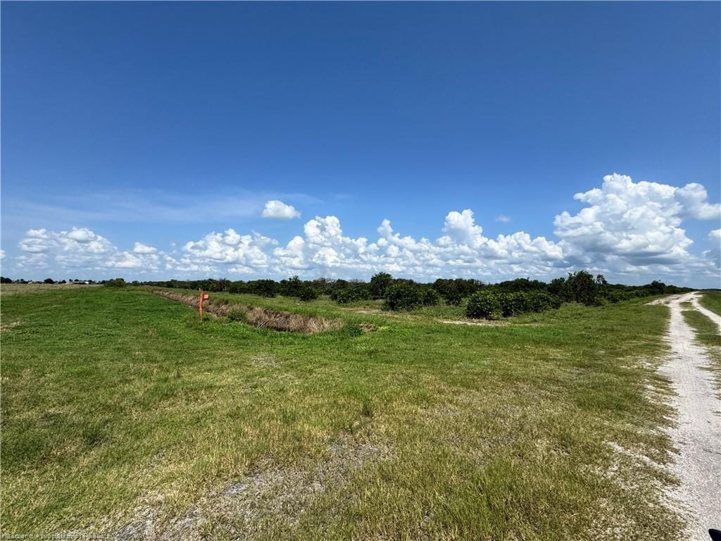 17515 BONEY Road — photo 4
