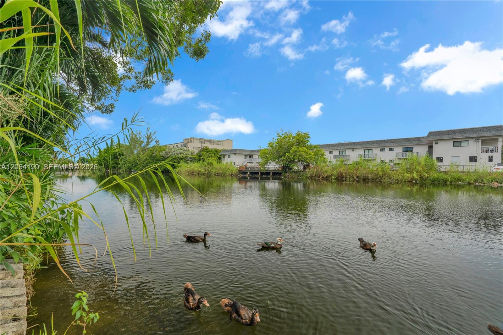 13205 NE 2nd Avenue, North Miami, FL 33161 photo 25