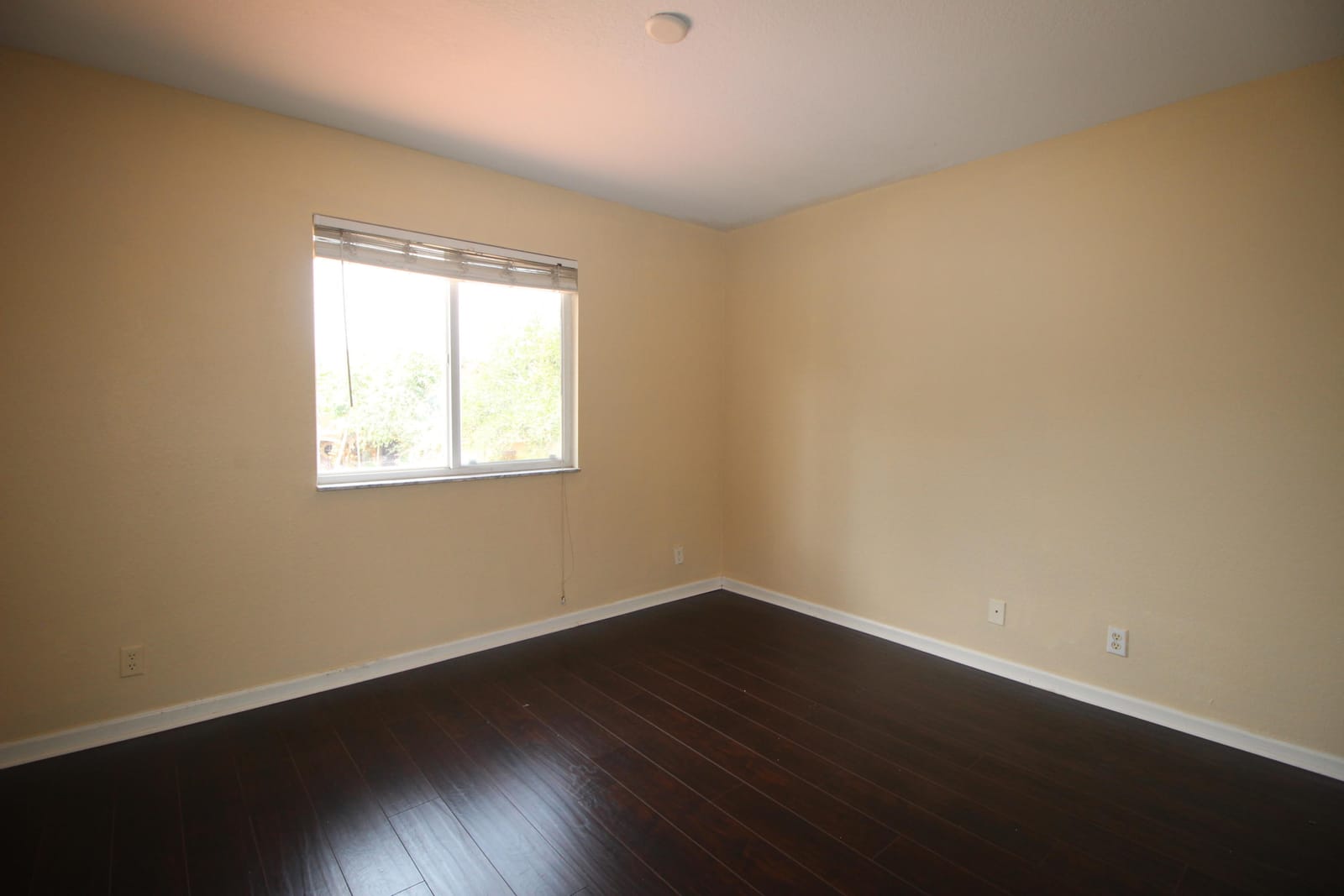 6602 Sandy Bank Terrace, Riviera Beach, FL 33407 photo 20