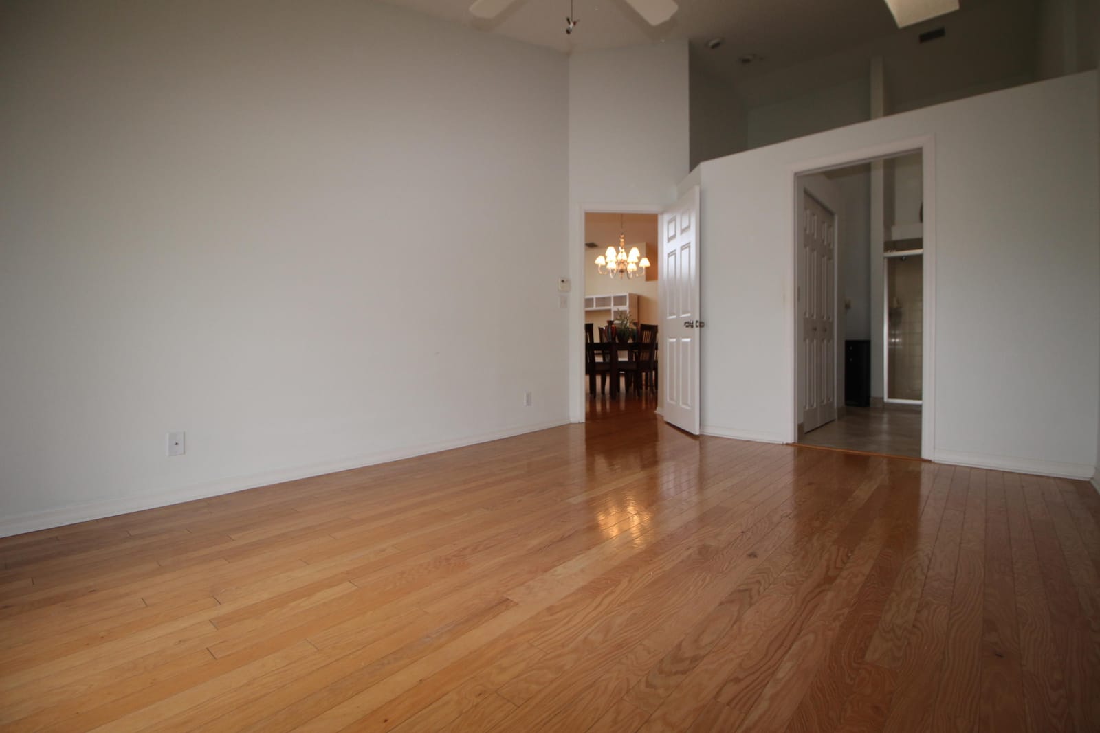 404 Sabal Palm Lane — photo 12