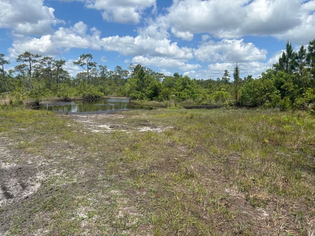 0 Holopaw Groves Road, St. Cloud, FL 34772