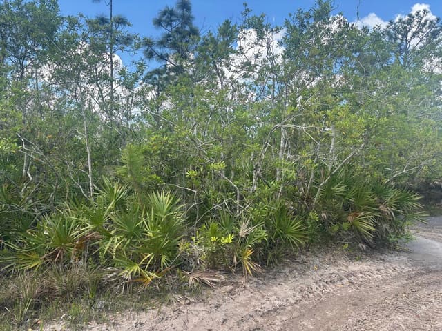 0 Holopaw Groves Road, St. Cloud, FL 34772