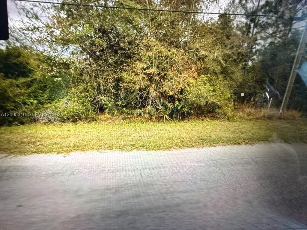 4101 Caesar Avenue, FL 32833 photo 6