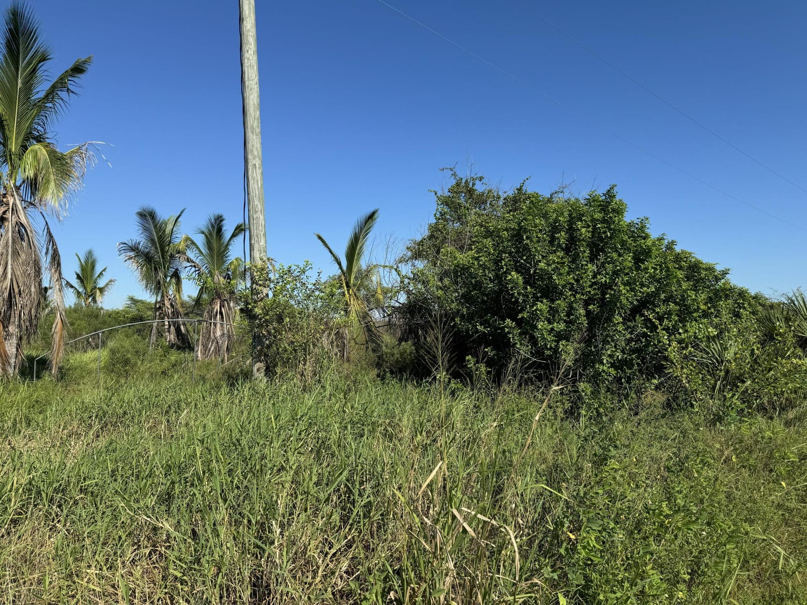 28160 ORANGE Avenue, Fort Pierce, FL 34945 photo 10