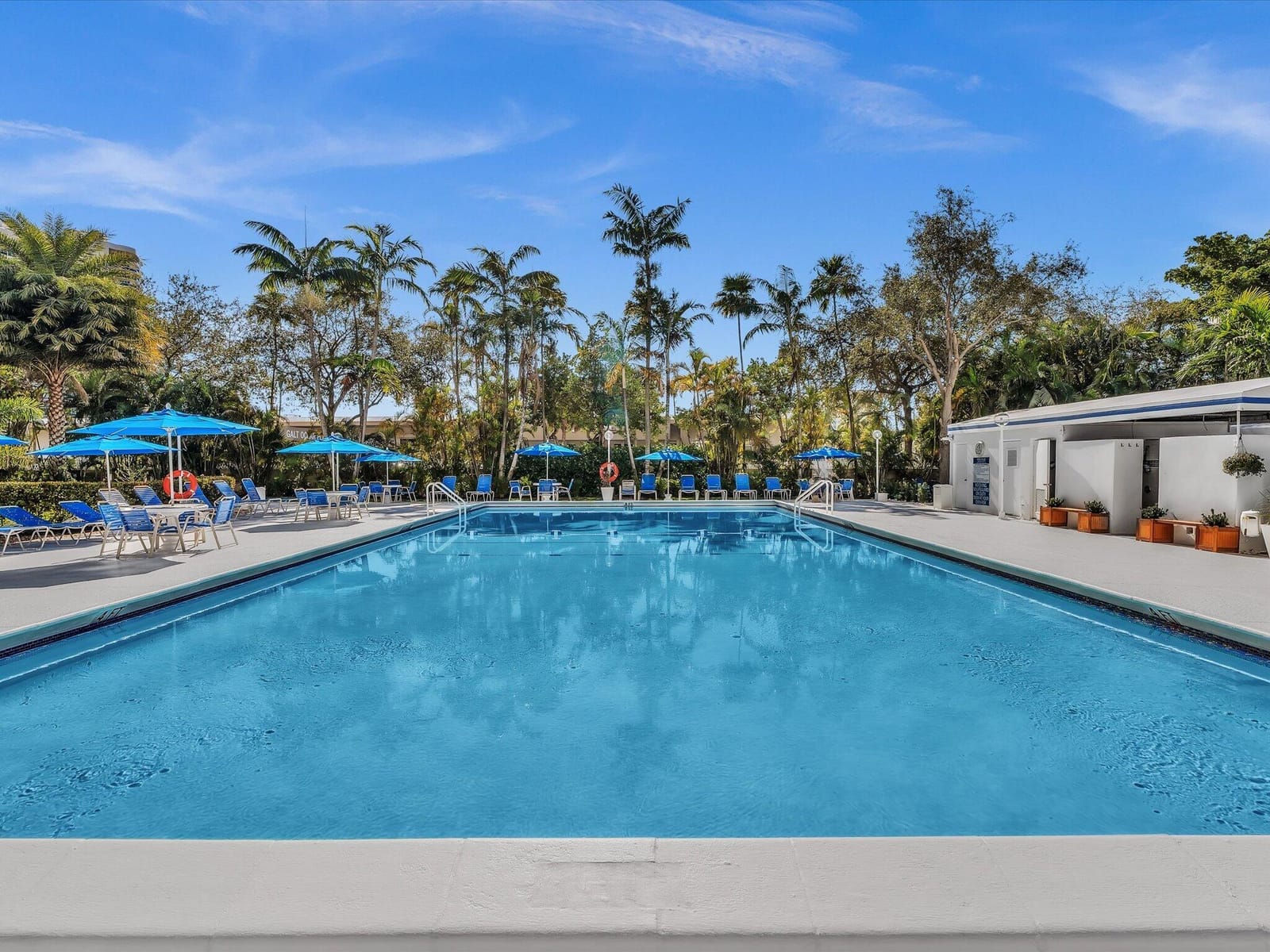 3333 NE 34TH Street 418, Fort Lauderdale, FL 33308 photo 23
