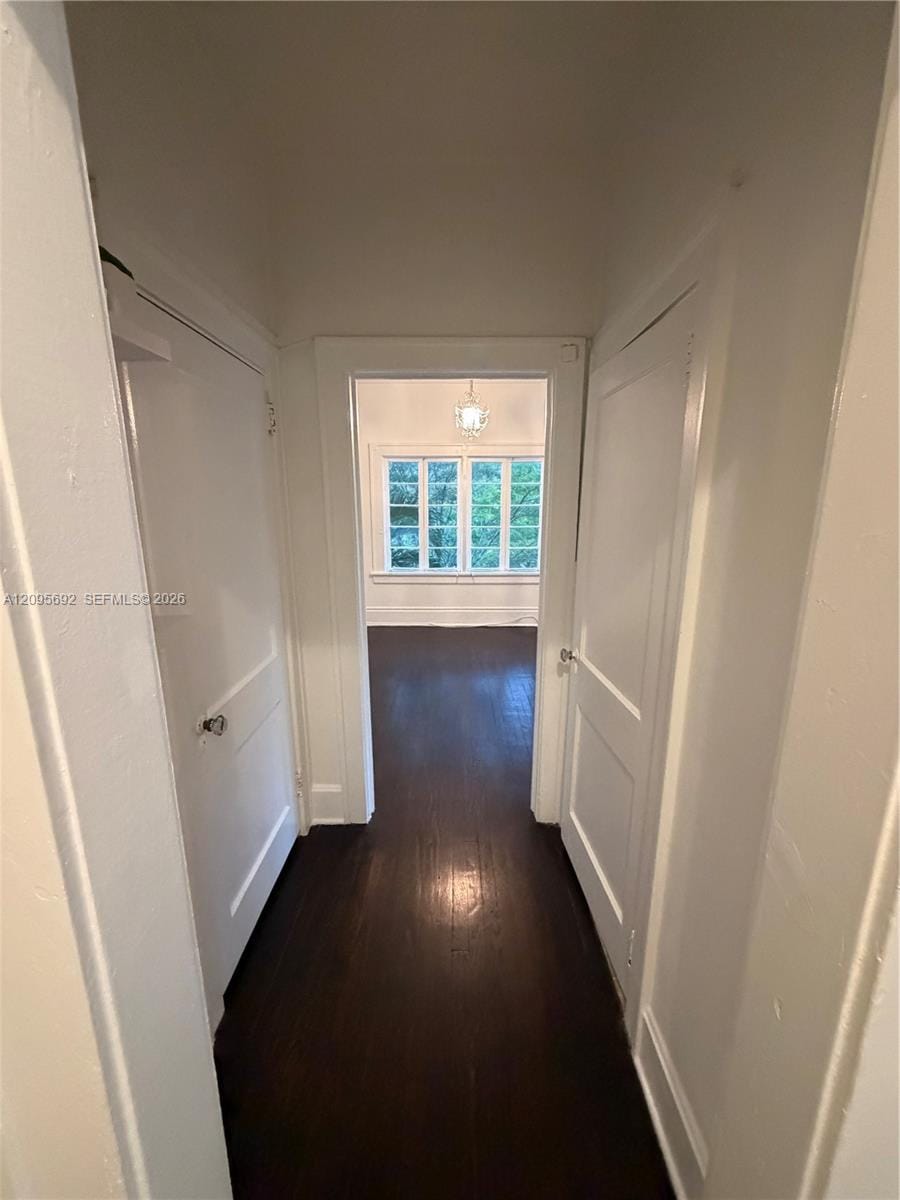 124 Mendoza Avenue 8, Coral Gables, FL 33134 photo 13