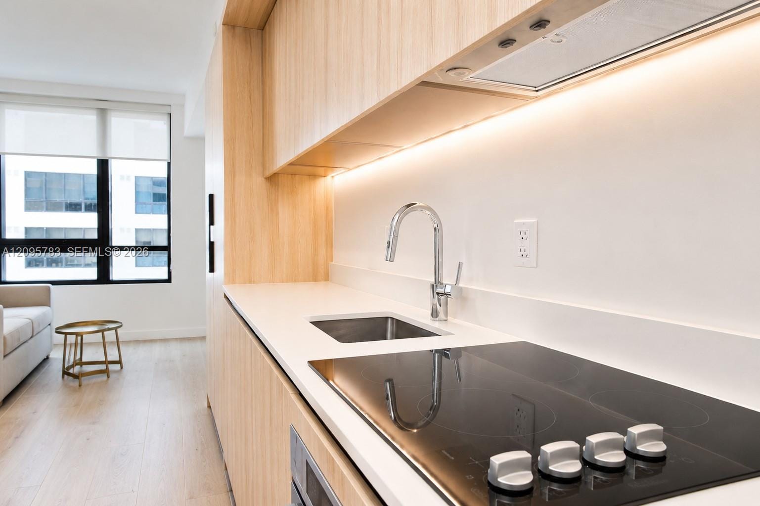 225 N Miami Avenue 2306 — photo 5