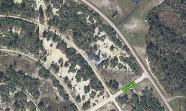 488 Morningside Drive, Lake Placid, FL 33852
