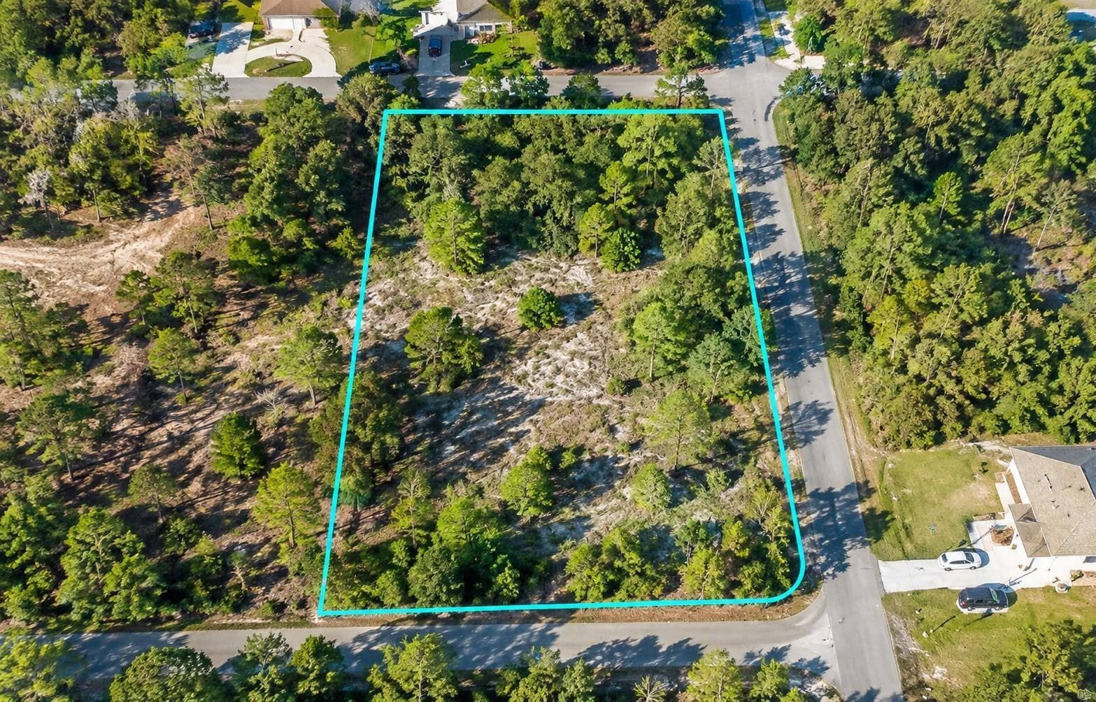 12194 Labrador Duck Road, Brooksville, FL 34614 photo 2