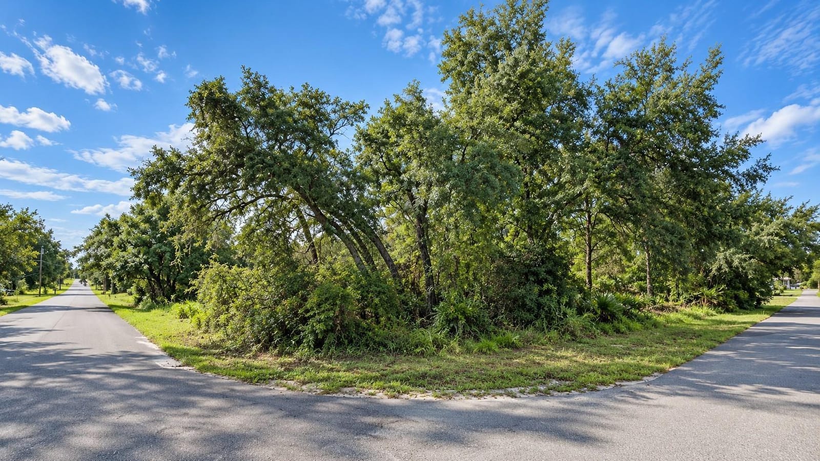 12194 Labrador Duck Road, Brooksville, FL 34614 photo 3