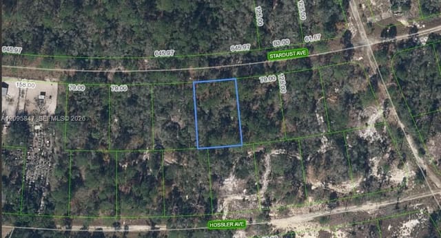 365 Stardust Avenue, Lake Placid, FL 33852