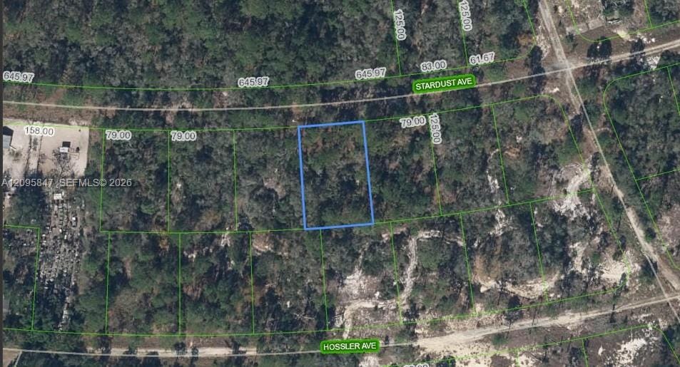 365 Stardust Avenue, Lake Placid, FL 33852 - photo 1 of 3