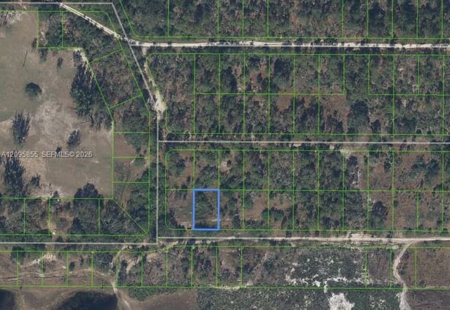 208 Claverton Drive, Lake Placid, FL 33852