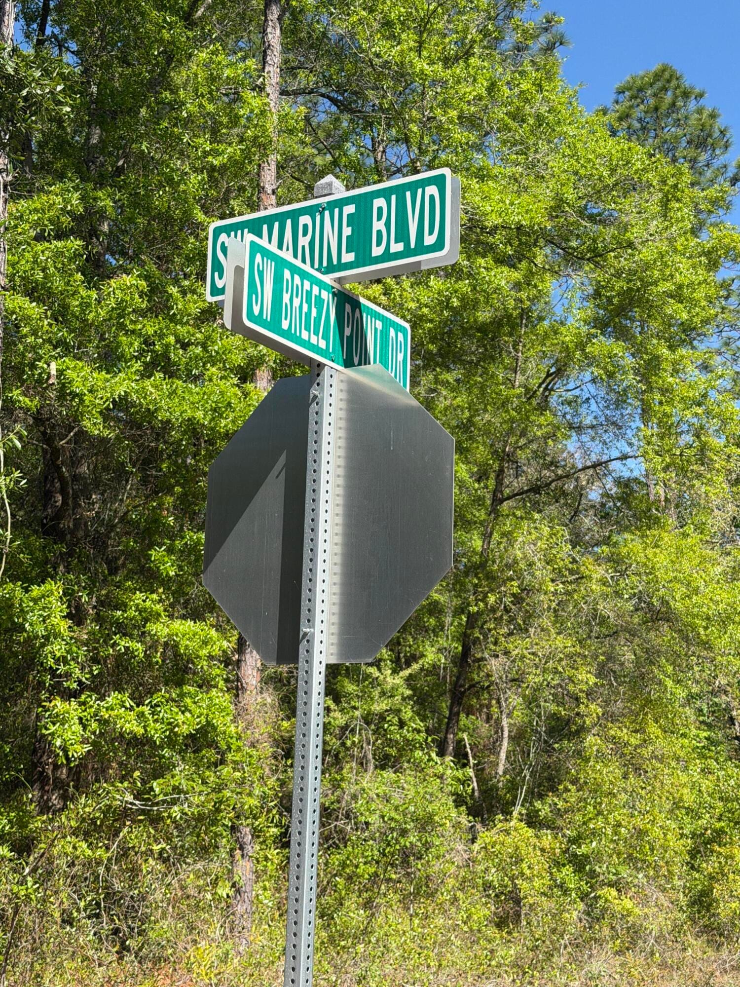 00 SW Marine Boulevard, Dunnellon, FL 34431 photo 6