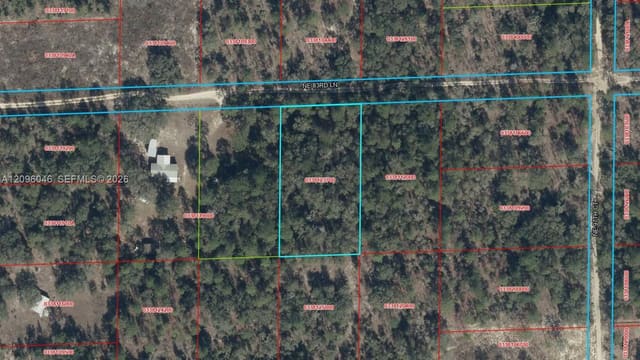 TBD N Tbd 83rd Lane, FL 32621