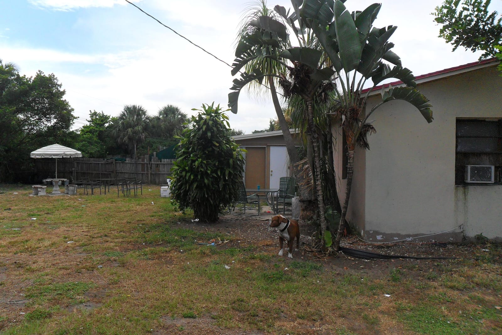 730 W ILEX Drive — photo 12