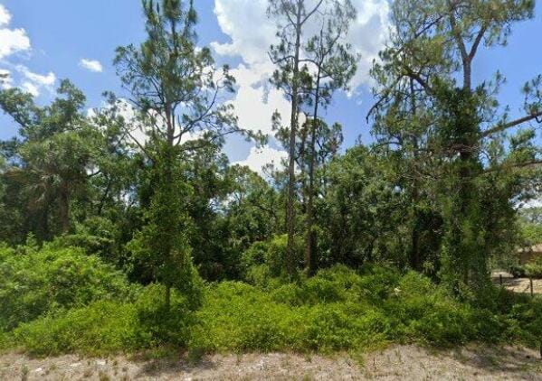 2117 IRVING Avenue, Alva, FL 33920 photo 1