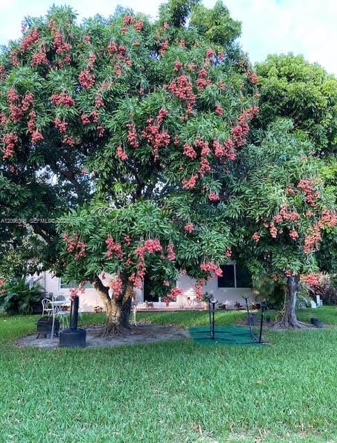 6110 SW 95th Court, Miami, FL 33173 photo 18