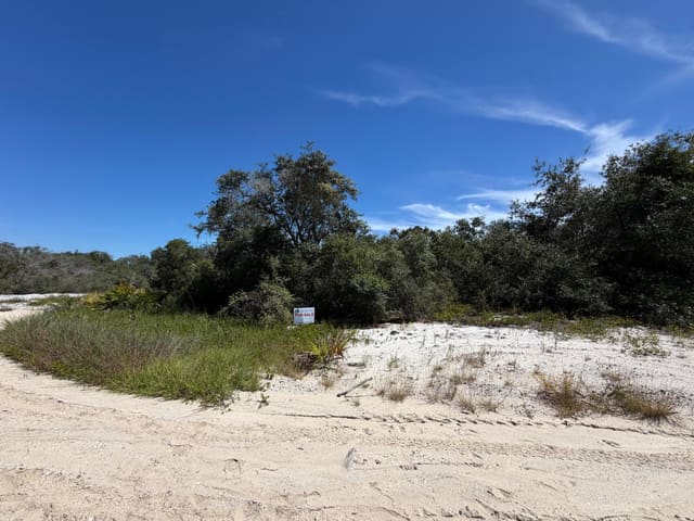 229 RHYTHM Drive, Lake Placid, FL 33852