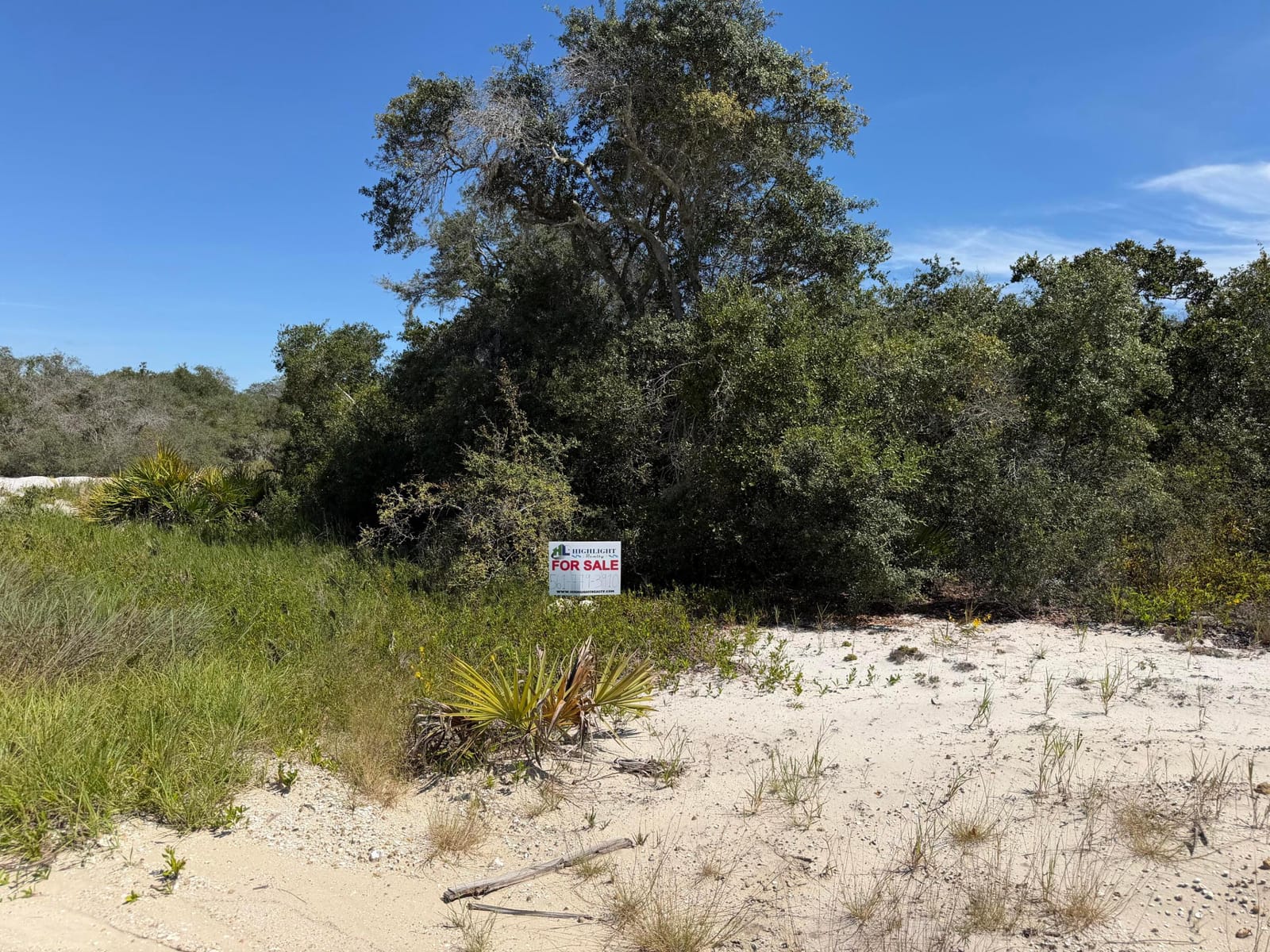229 RHYTHM Drive, Lake Placid, FL 33852 photo 2