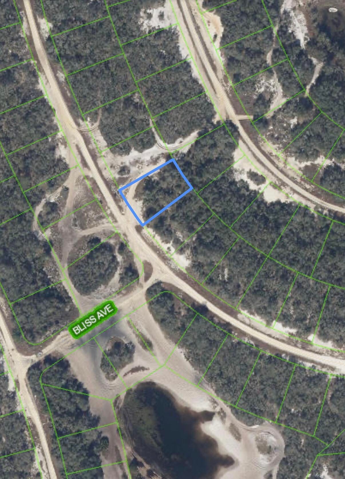 229 RHYTHM Drive, Lake Placid, FL 33852 photo 3