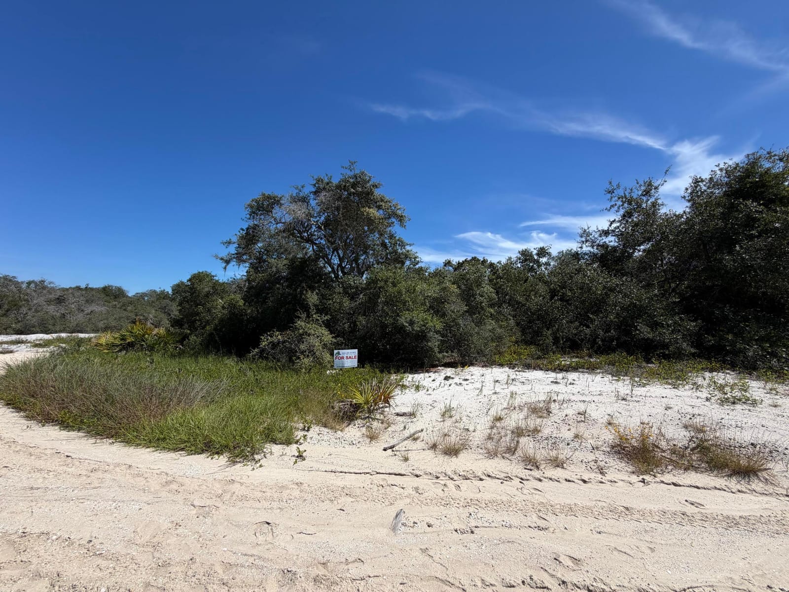 229 RHYTHM Drive, Lake Placid, FL 33852 photo 4