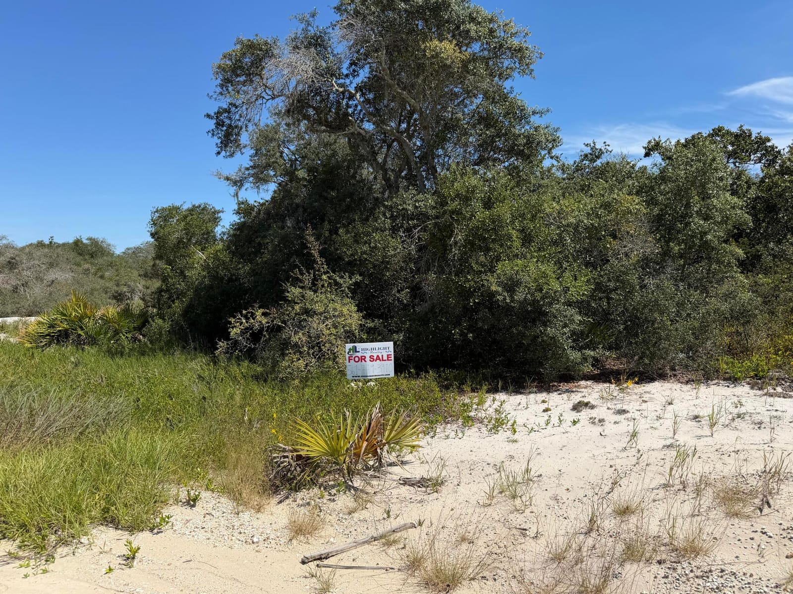 229 RHYTHM Drive, Lake Placid, FL 33852 photo 5