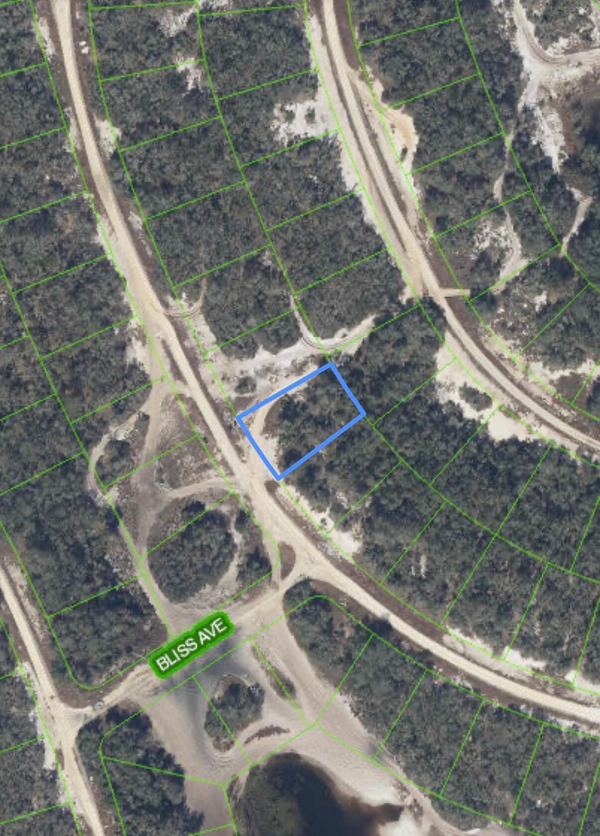 229 RHYTHM Drive, Lake Placid, FL 33852 photo 6