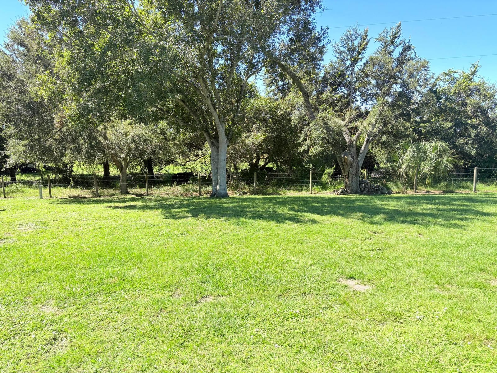 6012 SE 30TH Parkway, Okeechobee, FL 34974 photo 14