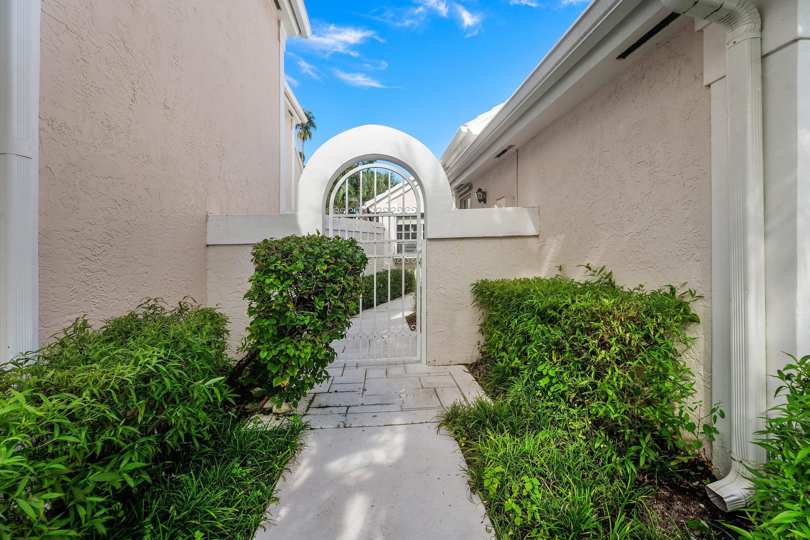 12 Elgin Lane — photo 4
