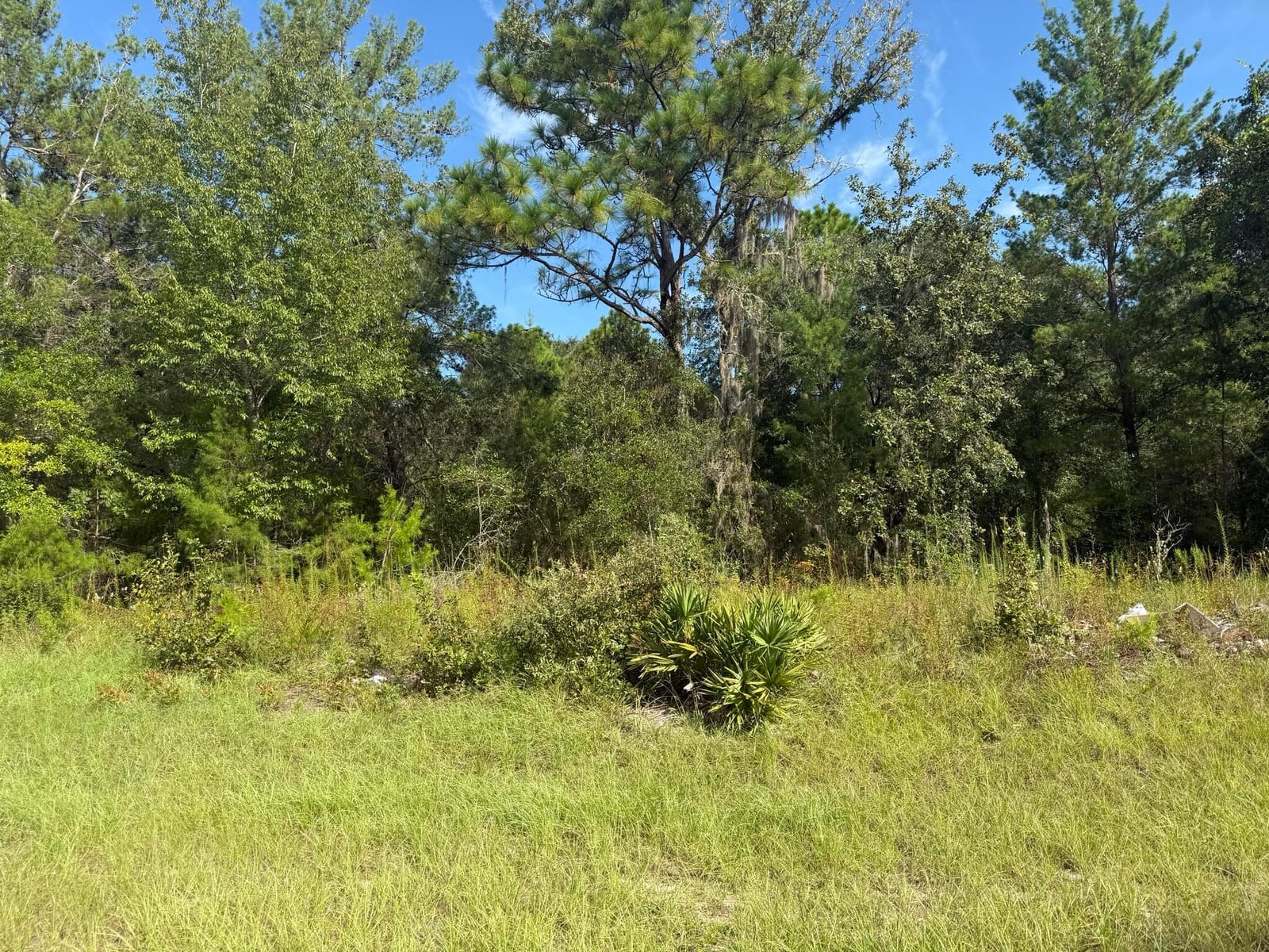 Tbd 79th terrace Road — photo 2