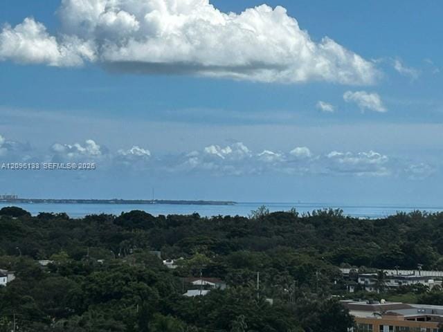 2425 SW 27th Avenue 1401, Miami, FL 33145 photo 10