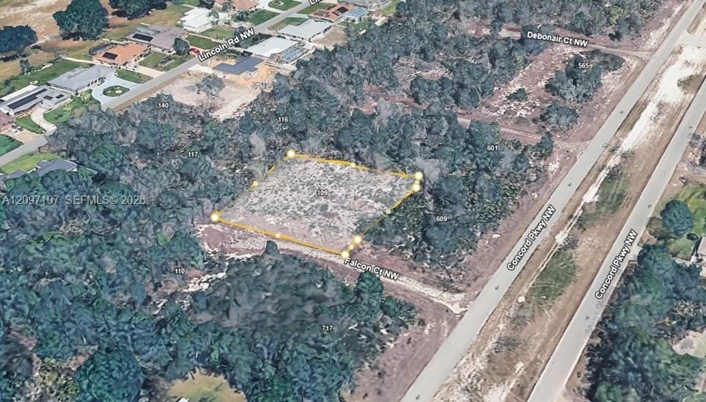 109 Falcon Court NW, Lake Placid, FL 33852 photo 2