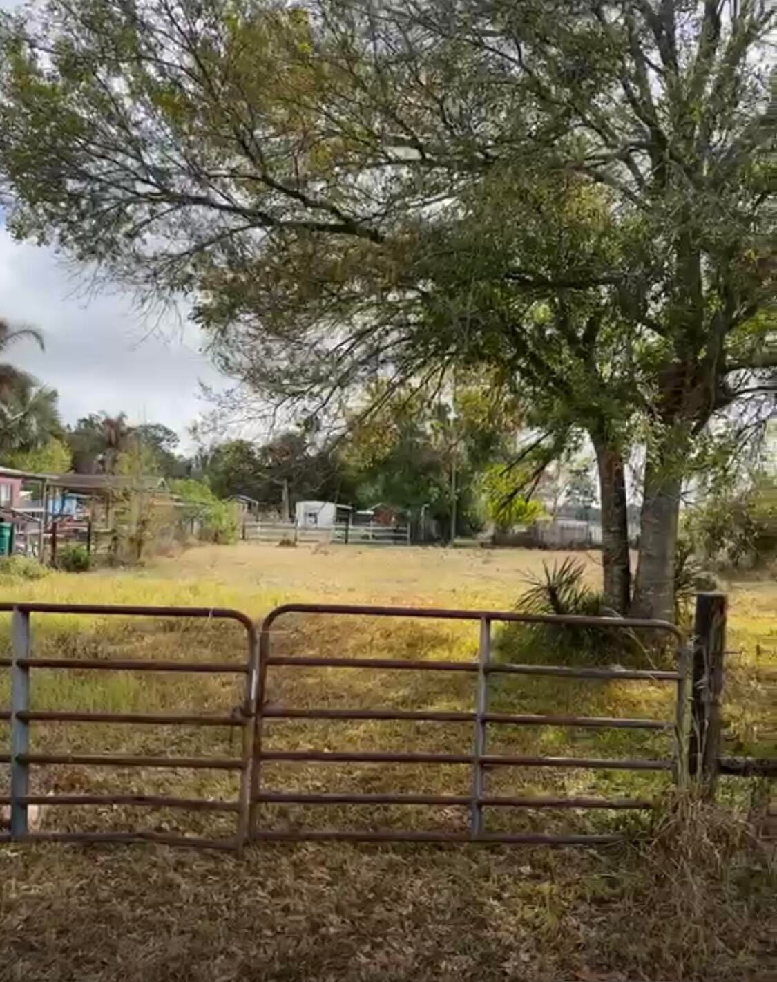 854 NE 42ND Terrace, Okeechobee, FL 34972 photo 4